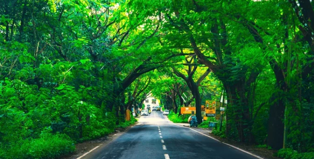 Ernakulam